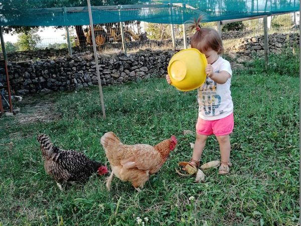 Les animaux de la ferme