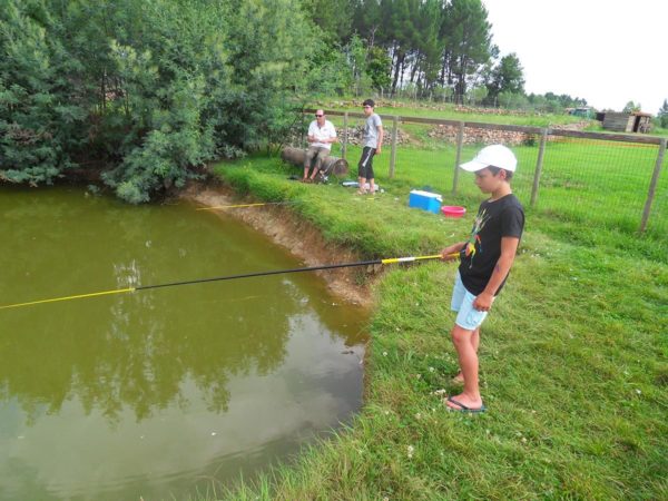 Kleiner Teich zum Angeln