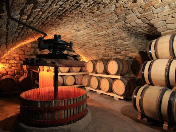 The cellar